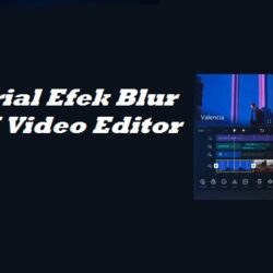 Tutorial Efek Blur Di VN Video Editor